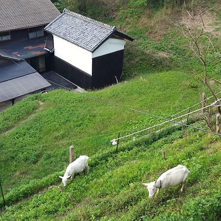 Asobi Lodge 京丹後市 エクステリア 写真